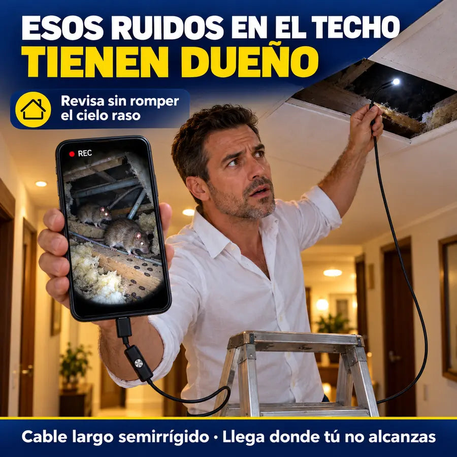Esos ruidos en el techo tienen dueño