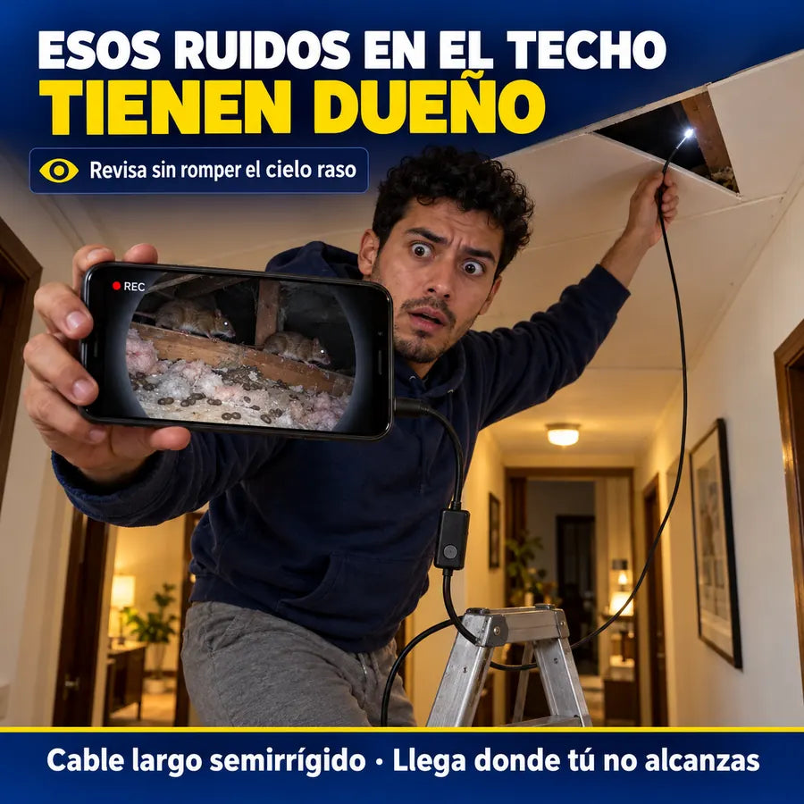 Esos ruidos en el techo tienen dueño: revisa sin romper el cielo raso