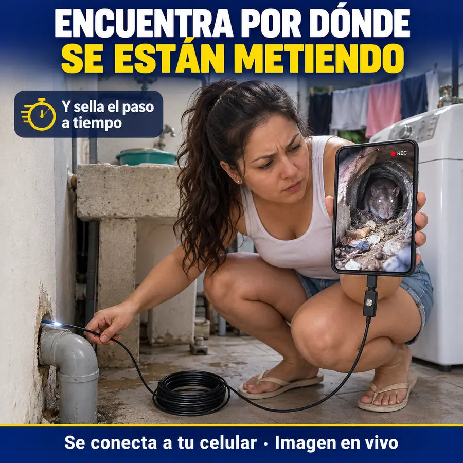 Encuentra por dónde se están metiendo las ratas y sella el paso a tiempo