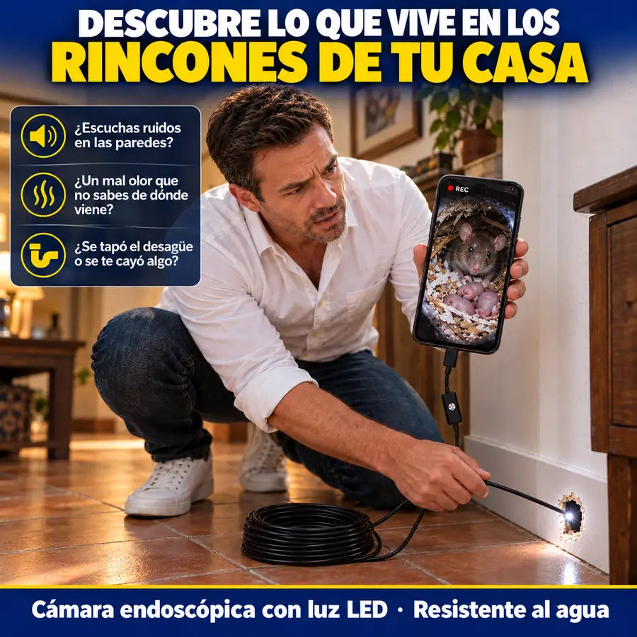 Descubre lo que vive en los rincones de tu casa