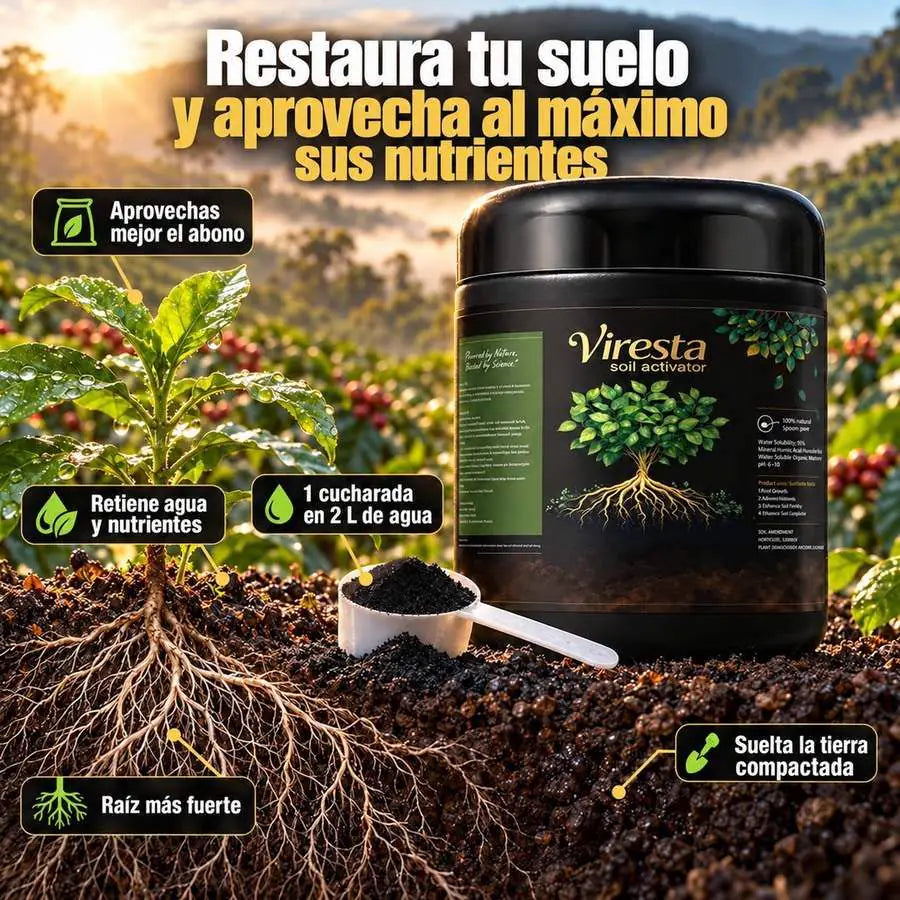 Viresta junto a una mata de café con raíces fuertes