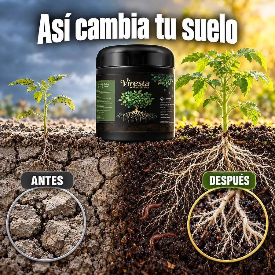 Suelo compactado antes y suelo suelto con raíces fuertes después