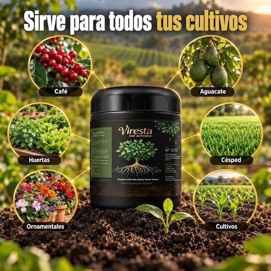 Viresta rodeado de café, aguacate, huerta, césped y plantas ornamentales